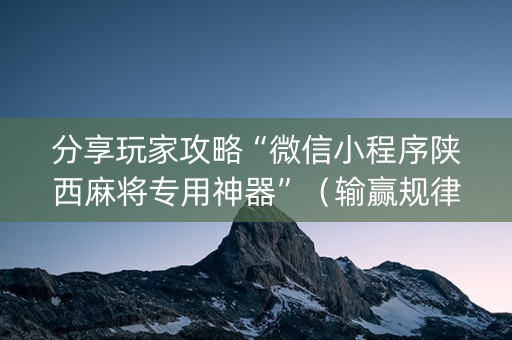 分享玩家攻略“微信小程序陕西麻将专用神器”（输赢规律)