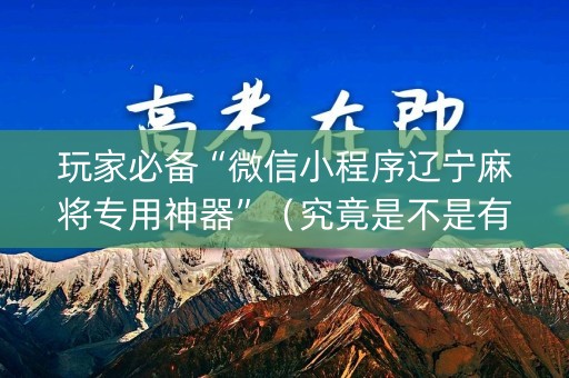 玩家必备“微信小程序辽宁麻将专用神器”（究竟是不是有挂)
