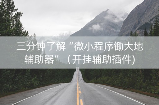 三分钟了解“微小程序锄大地辅助器”（开挂辅助插件)