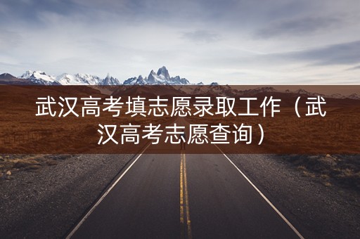 武汉高考填志愿录取工作（武汉高考志愿查询）