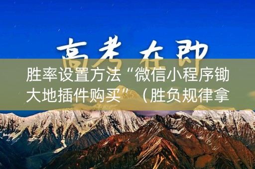 胜率设置方法“微信小程序锄大地插件购买”（胜负规律拿好牌)