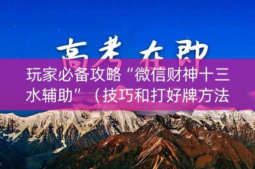 玩家必备攻略“微信财神十三水辅助”（技巧和打好牌方法)