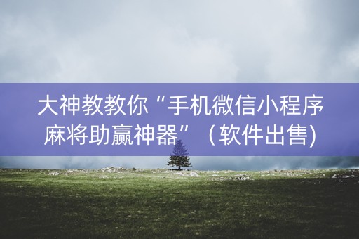 大神教教你“手机微信小程序麻将助赢神器”（软件出售)