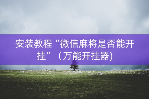 安装教程“微信麻将是否能开挂”（万能开挂器)