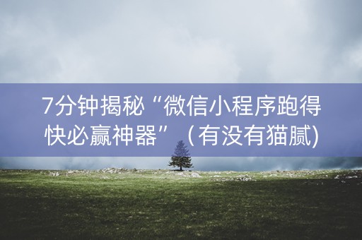 7分钟揭秘“微信小程序跑得快必赢神器”（有没有猫腻)