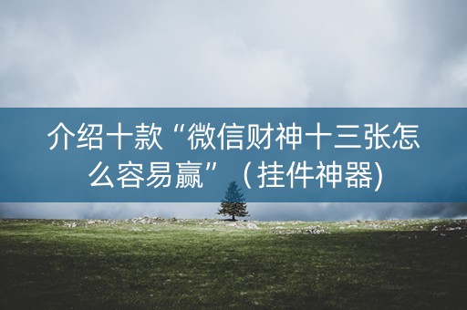 介绍十款“微信财神十三张怎么容易赢”（挂件神器)