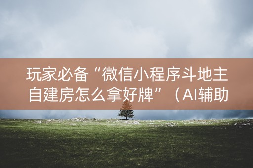 玩家必备“微信小程序斗地主自建房怎么拿好牌”（AI辅助胡牌规则)