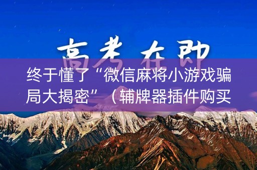 终于懂了“微信麻将小游戏骗局大揭密”（辅牌器插件购买)