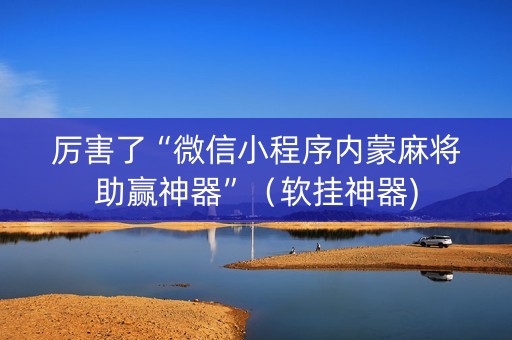 厉害了“微信小程序内蒙麻将助赢神器”（软挂神器)