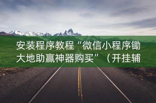 安装程序教程“微信小程序锄大地助赢神器购买”（开挂辅助插件)