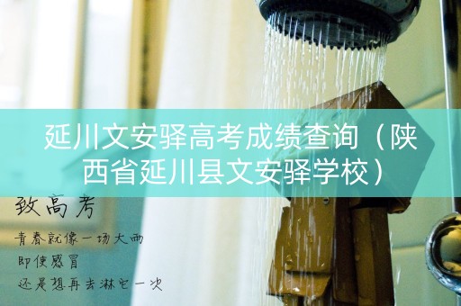 延川文安驿高考成绩查询（陕西省延川县文安驿学校）