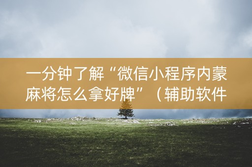 一分钟了解“微信小程序内蒙麻将怎么拿好牌”（辅助软件)