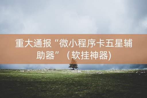 重大通报“微小程序卡五星辅助器”（软挂神器)