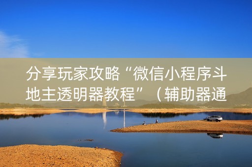 分享玩家攻略“微信小程序斗地主透明器教程”（辅助器通用版)