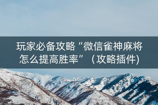 玩家必备攻略“微信雀神麻将怎么提高胜率”（攻略插件)