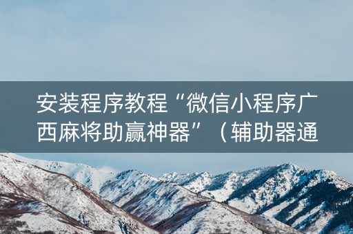 安装程序教程“微信小程序广西麻将助赢神器”（辅助器通用版)