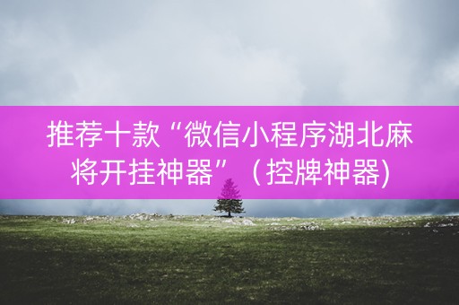 推荐十款“微信小程序湖北麻将开挂神器”（控牌神器)