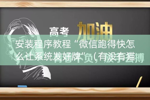 安装程序教程“微信跑得快怎么让系统发好牌”（有没有猫腻)