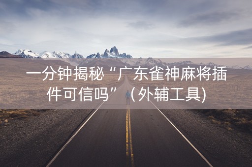 一分钟揭秘“广东雀神麻将插件可信吗”（外辅工具)