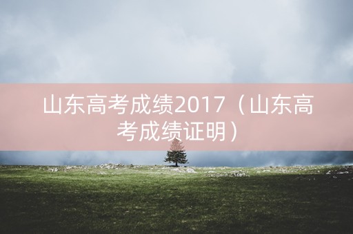 山东高考成绩2017（山东高考成绩证明）