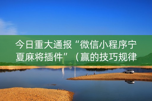 今日重大通报“微信小程序宁夏麻将插件”（赢的技巧规律)