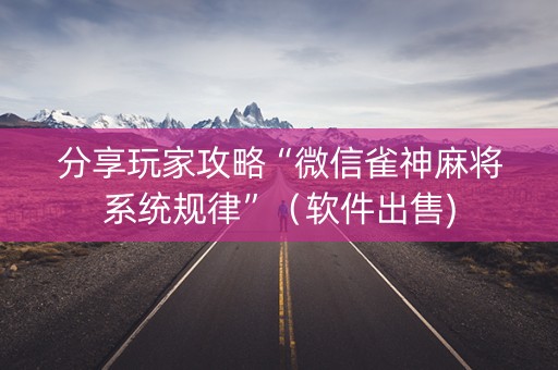 分享玩家攻略“微信雀神麻将系统规律”（软件出售)