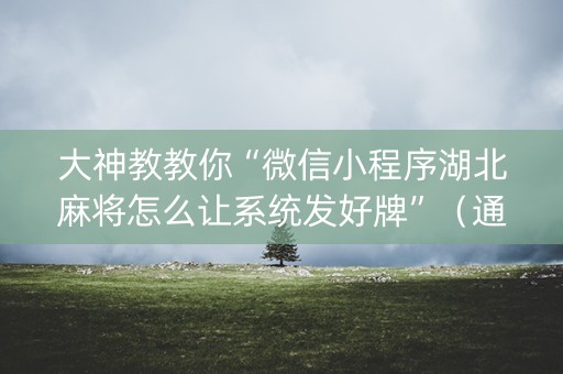 大神教教你“微信小程序湖北麻将怎么让系统发好牌”（通用挂软件多少钱)