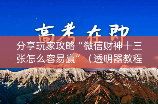 分享玩家攻略“微信财神十三张怎么容易赢”（透明器教程)