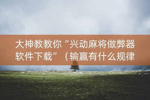 大神教教你“兴动麻将做弊器软件下载”（输赢有什么规律)