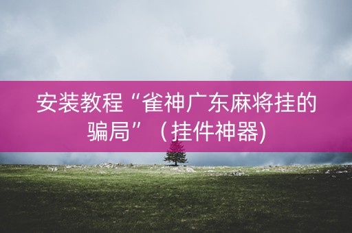 安装教程“雀神广东麻将挂的骗局”（挂件神器)