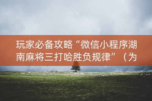 玩家必备攻略“微信小程序湖南麻将三打哈胜负规律”（为什么有人一直赢)