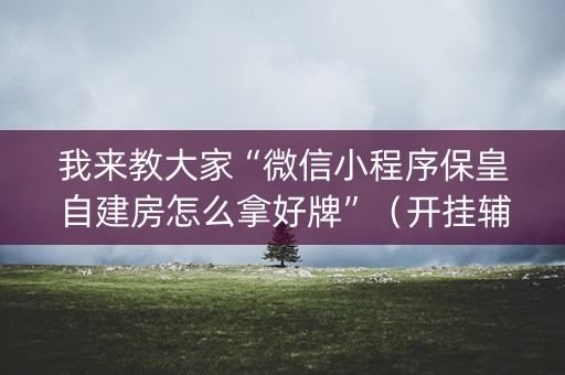 我来教大家“微信小程序保皇自建房怎么拿好牌”（开挂辅助脚本)