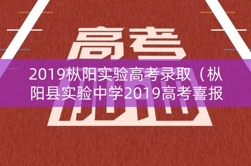2019枞阳实验高考录取（枞阳县实验中学2019高考喜报）