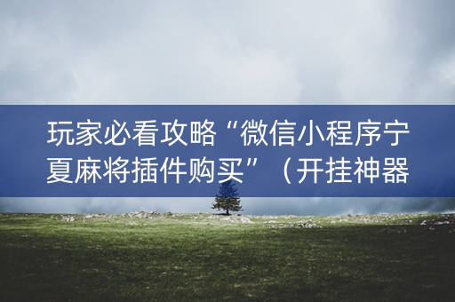 玩家必看攻略“微信小程序宁夏麻将插件购买”（开挂神器下载)