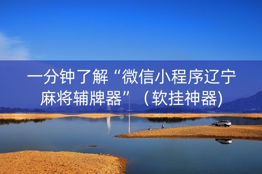 一分钟了解“微信小程序辽宁麻将辅牌器”（软挂神器)