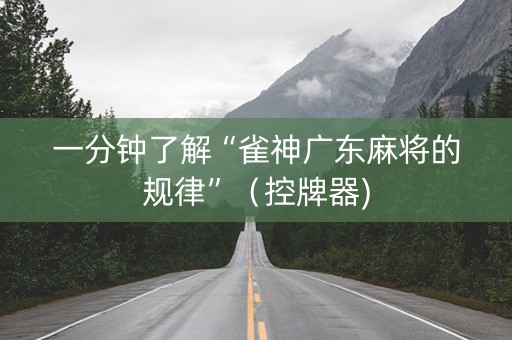 一分钟了解“雀神广东麻将的规律”（控牌器)