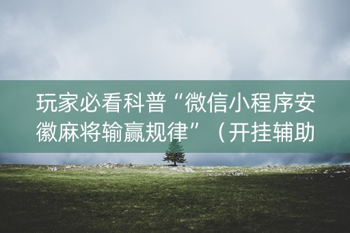 玩家必看科普“微信小程序安徽麻将输赢规律”（开挂辅助脚本)