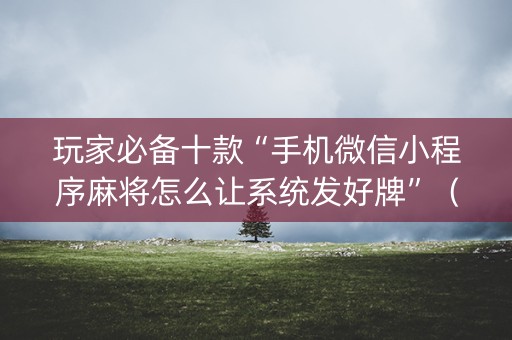 玩家必备十款“手机微信小程序麻将怎么让系统发好牌”（助赢神器购买)