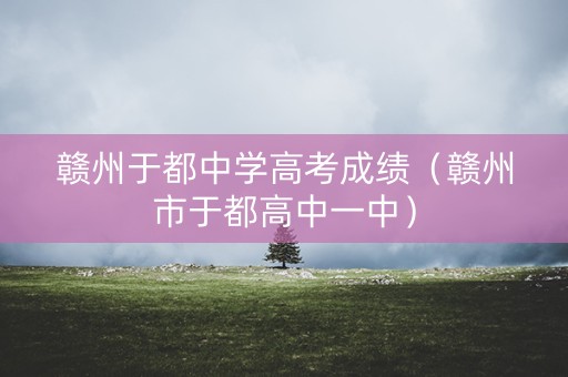 赣州于都中学高考成绩（赣州市于都高中一中）