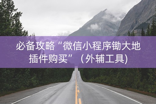 必备攻略“微信小程序锄大地插件购买”（外辅工具)