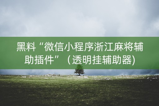 黑料“微信小程序浙江麻将辅助插件”（透明挂辅助器)