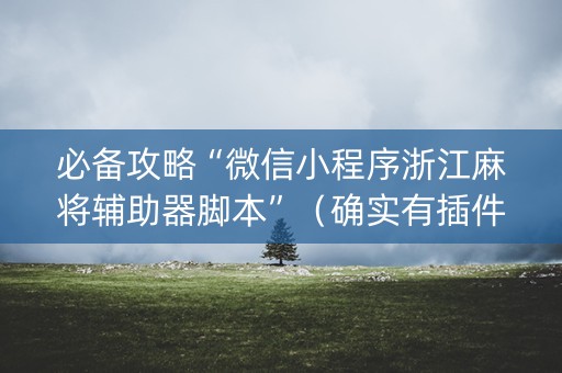 必备攻略“微信小程序浙江麻将辅助器脚本”（确实有插件吗)