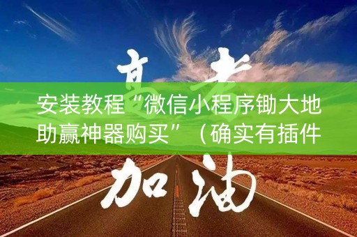 安装教程“微信小程序锄大地助赢神器购买”（确实有插件吗)