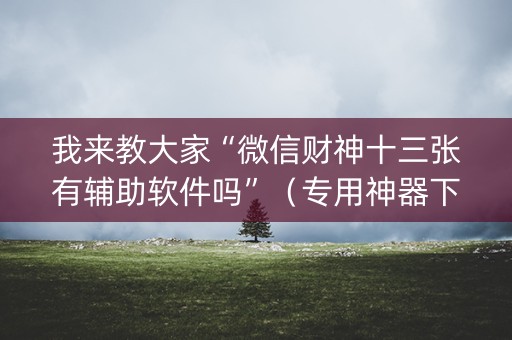 我来教大家“微信财神十三张有辅助软件吗”（专用神器下载)