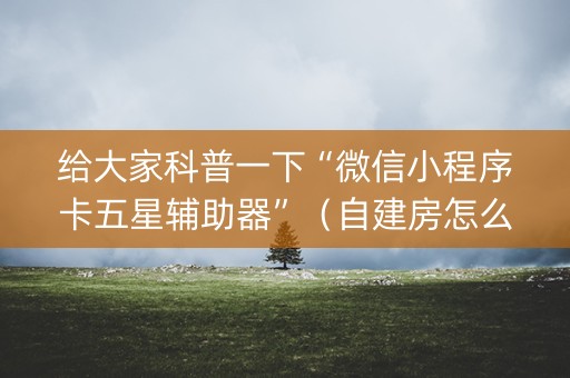 给大家科普一下“微信小程序卡五星辅助器”（自建房怎么拿好牌)