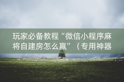 玩家必备教程“微信小程序麻将自建房怎么赢”（专用神器下载)