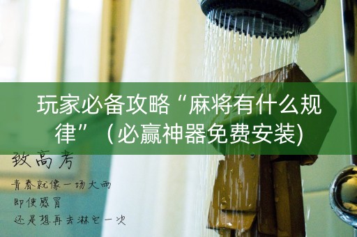 玩家必备攻略“麻将有什么规律”（必赢神器免费安装)