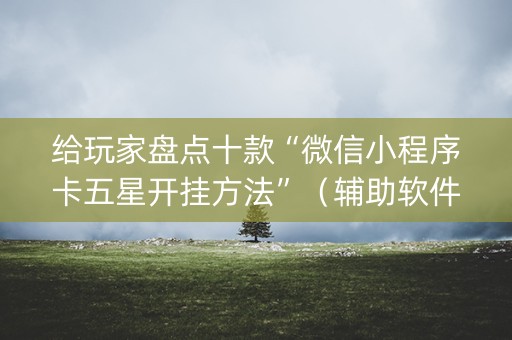 给玩家盘点十款“微信小程序卡五星开挂方法”（辅助软件)