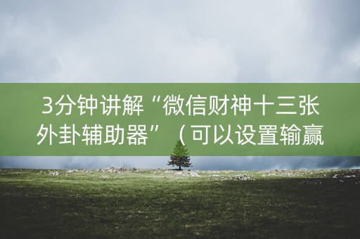 3分钟讲解“微信财神十三张外卦辅助器”（可以设置输赢吗)