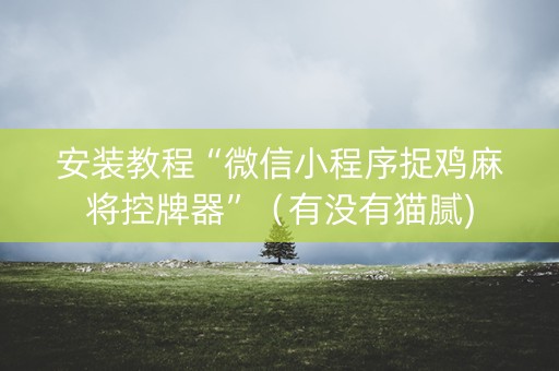 安装教程“微信小程序捉鸡麻将控牌器”（有没有猫腻)